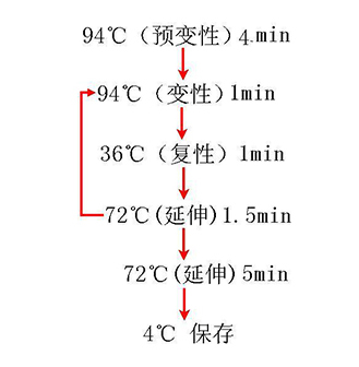 BC贷(中国游)官方网站