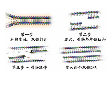 BC贷(中国游)官方网站